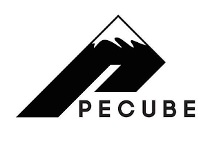 PECUBE logo