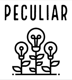 PECULIAR logo