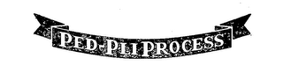 PED-PLI PROCESS logo