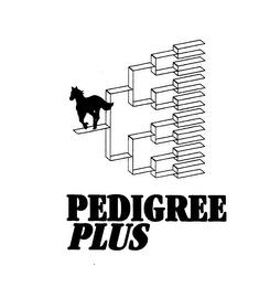 PEDIGREE PLUS logo