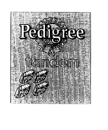PEDIGREE TANDEM logo