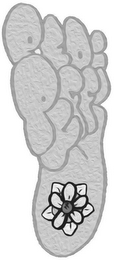 PEDIPUFFS logo