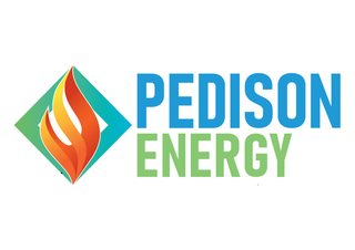 PEDISON ENERGY - INNOVATIVE SUSTAINABILITY FOR A BRIGHTER FUTURE logo