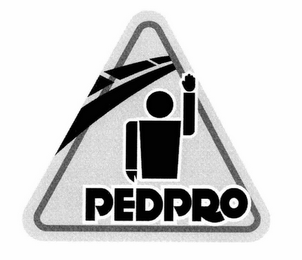PEDPRO logo