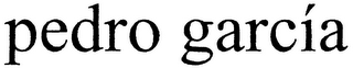PEDRO GARCÍA logo