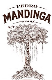 PEDRO MANDINGA PANAMA logo
