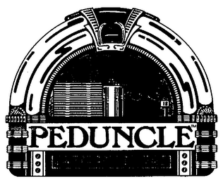 PEDUNCLE ENTERPRISES, INC. logo