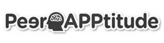 PEER APPTITUDE logo