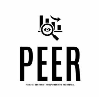 PEER PERSISTENT ENVIRONMENT FOR EXPERIMENTATION AND REHEARSAL logo