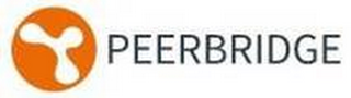 PEERBRIDGE logo