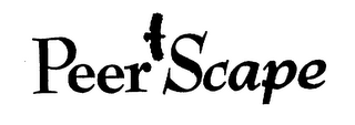 PEERSCAPE logo