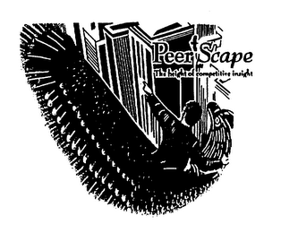 PEERSCAPE THE HEIGHT OF COMPETITIVE INSIGHT logo