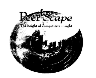PEERSCAPE THE HEIGHT OF COMPETITIVE INSIGHT logo