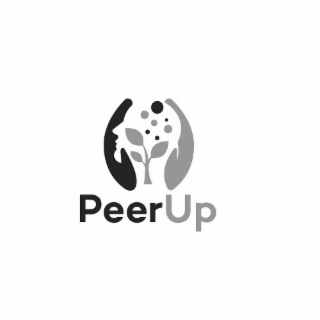 PEERUP logo
