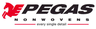 PEGAS NONWOVENS EVERY SINGLE DETAIL logo
