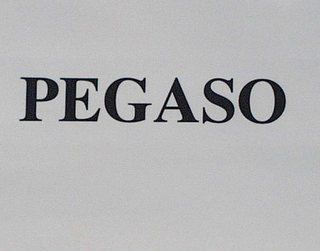 PEGASO logo