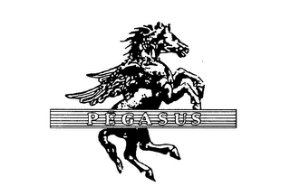 PEGASUS logo