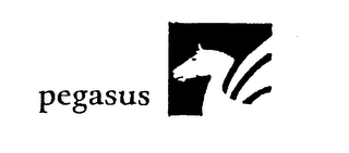 PEGASUS logo