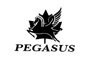 PEGASUS logo