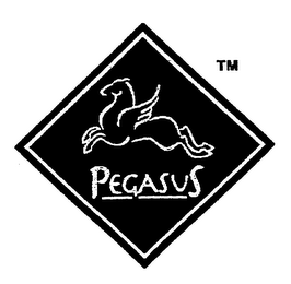PEGASUS logo