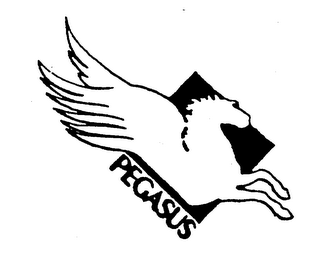 PEGASUS