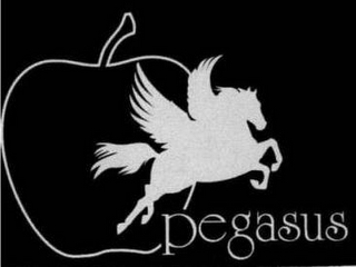 PEGASUS logo
