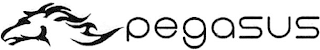 PEGASUS logo