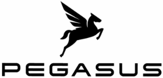 PEGASUS logo