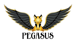 PEGASUS logo
