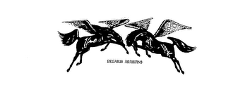 PEGASUS ARABIANS logo