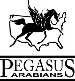 PEGASUS ARABIANS logo
