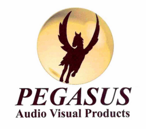 PEGASUS AUDIO VISUAL PRODUCTS logo