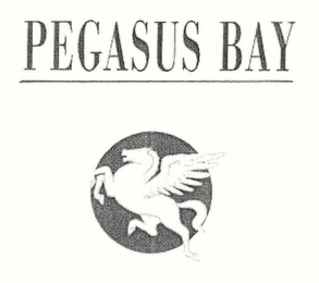 PEGASUS BAY logo