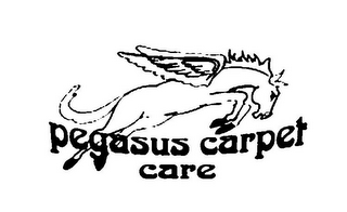 PEGASUS CARPET CARE logo