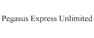 PEGASUS EXPRESS UNLIMITED logo