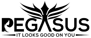 PEGASUS IT LOOKS GOOD ON YOU logo