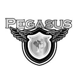 PEGASUS P logo