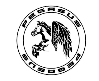 PEGASUS PEGASUS logo