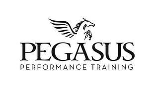 PEGASUS PERFORMANCE TRAINING logo