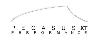PEGASUS PERFORMANCE XT logo