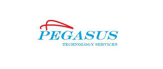 PEGASUS TECHNOLOGY SERVICES logo