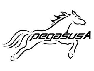 PEGASUSA logo