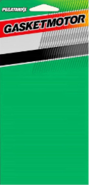 PEGATANKE GASKETMOTOR logo