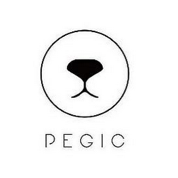 PEGIC logo