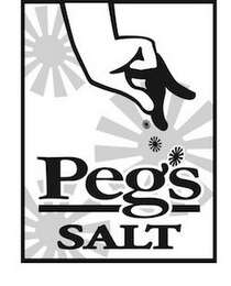 PEG'S SALT logo