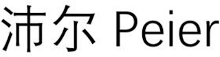 PEIER logo