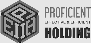 PEIIH PROFICIENT EFFECTIVE & EFFICIENT HOLDING logo