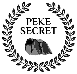 PEKE SECRET logo