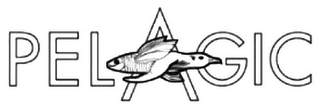 PELAGIC logo
