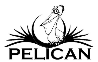 PELICAN logo